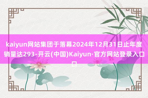 kaiyun网站集团于落幕2024年12月31日止年度销量达293-开云(中国)Kaiyun·官方网站登录入口