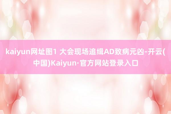 kaiyun网址图1 大会现场追缉AD致病元凶-开云(中国)Kaiyun·官方网站登录入口