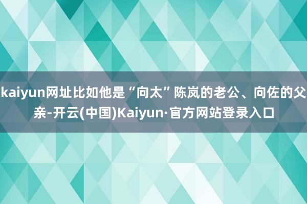 kaiyun网址比如他是“向太”陈岚的老公、向佐的父亲-开云(中国)Kaiyun·官方网站登录入口